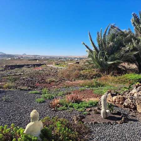 Aloes Lajares